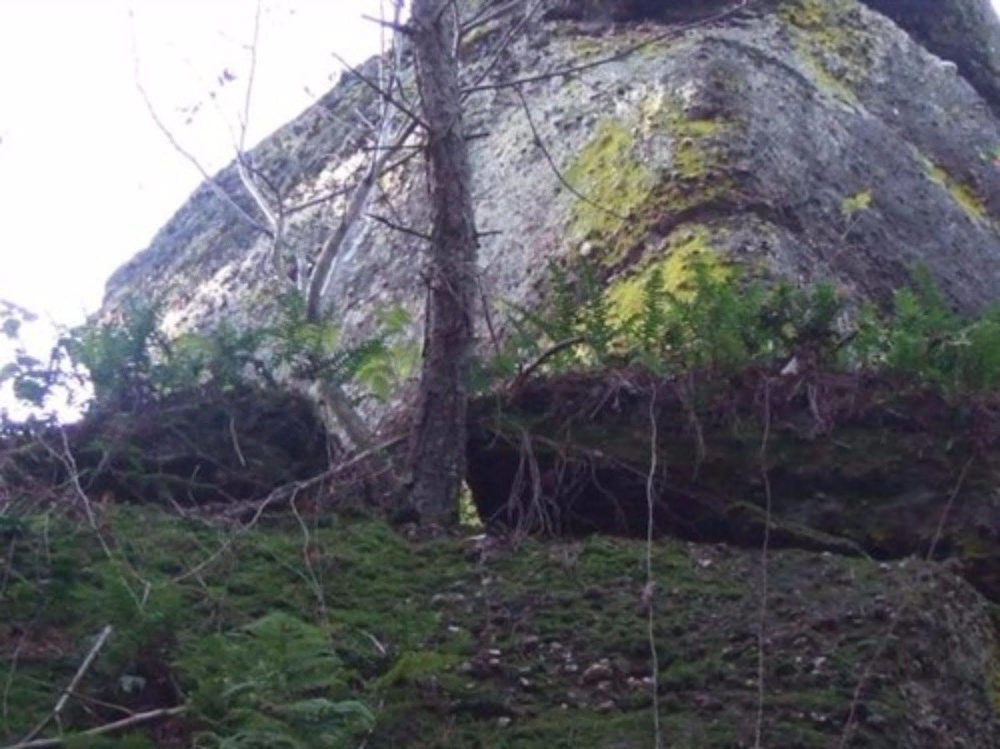 Auberge D'Hotes L'Instant Le Hohwald Zewnętrze zdjęcie
