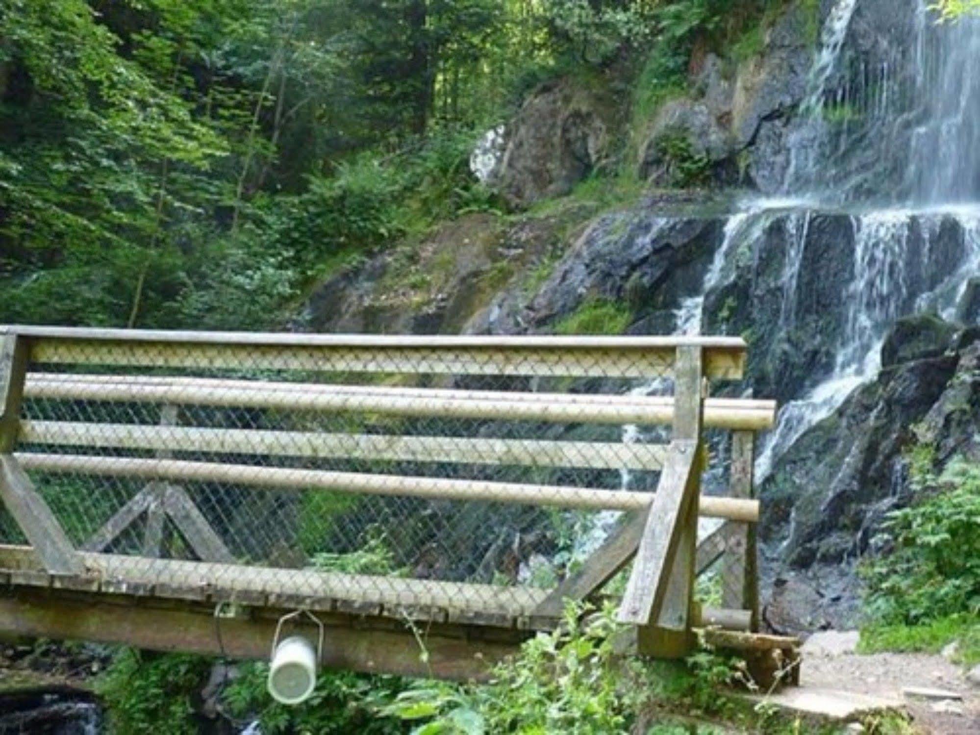 Auberge D'Hotes L'Instant Le Hohwald Zewnętrze zdjęcie